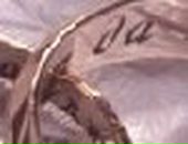 Іваночка Куцин фотография #26 (источник - https://vk.com/id132931482)