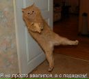 Віруня Гуцій фотография #3 (источник - https://vk.com/id161274418)