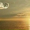 Владлєна Козачок фотография #7 (источник - https://vk.com/id98642620)