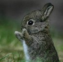 Андрій Савчик фотография #7 (источник - https://vk.com/id153675272)
