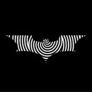 Фотография Кана Дмитрия