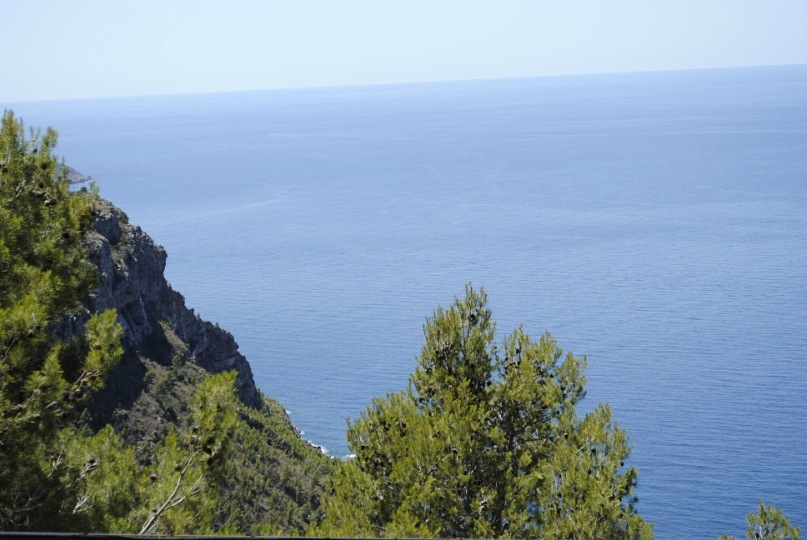 Дмитрий Стефиенко фотография #23