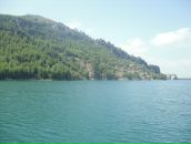 Света Бугера фотография #41 (источник - https://vk.com/id420747)