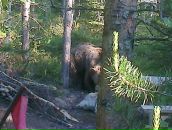 Фотография Бикаева Алексея