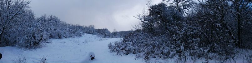 Влад Бугаревский фотография #5