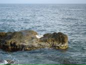 Андрій Клебан фотография #28 (источник - https://vk.com/id8874620)