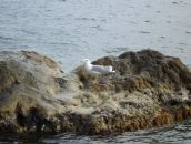 Андрій Клебан фотография #26 (источник - https://vk.com/id8874620)