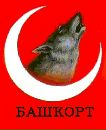 Фотография Ильясова Азата