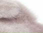 Іра Данильчук фотография #24 (источник - https://vk.com/id135059633)