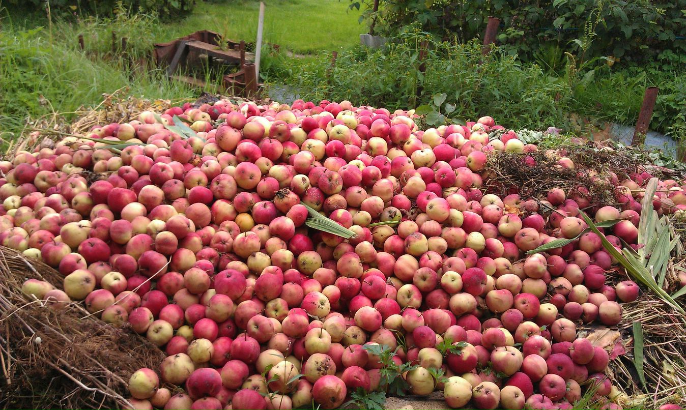 Егор Максимов фотография #10