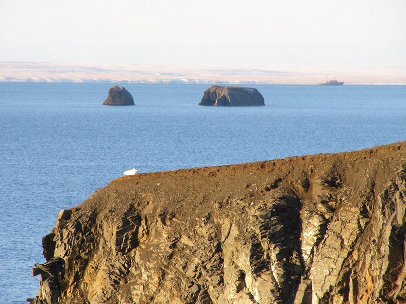 Александр Нечаев фотография #12