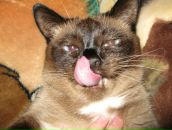 Фотография Залоги Катерины