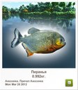 Діма Мікулеску фотография #23 (источник - https://vk.com/id148218934)