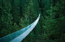 Βиктория Κузьмина фотография #36 (источник - https://vk.com/id124637569)