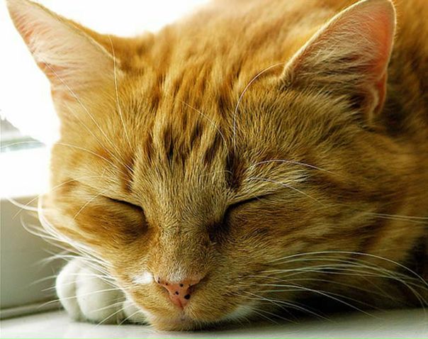 №3, Юлия Гудзенко, 9.12 №3, Юлия Гудзенко, 9.12