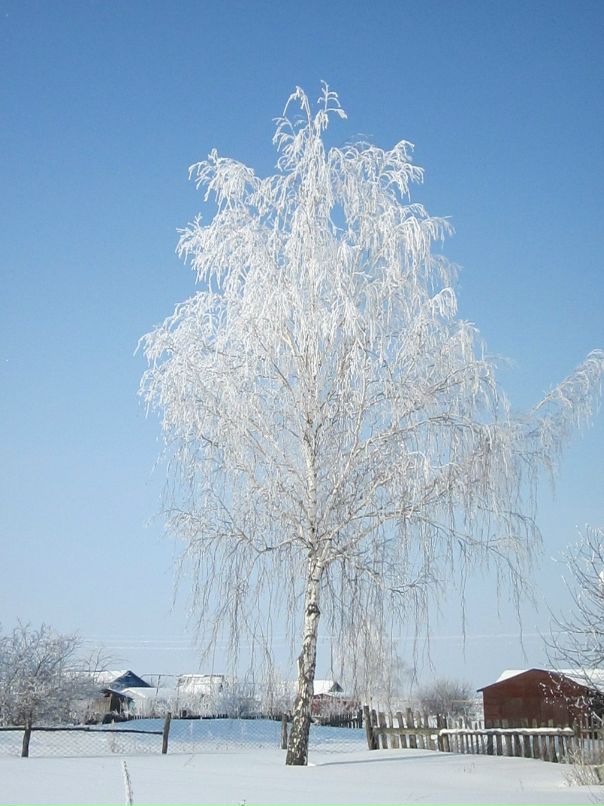 Дмитрий Козлов фотография #45