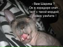Дим Димыч фотография #21 (источник - https://vk.com/id167311256)