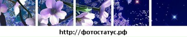 Наталія Дербак фотография #36 (источник - https://vk.com/id62287061)