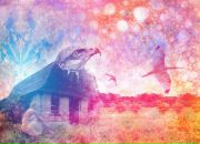 Фотография Пинчук Тани