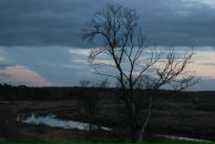 Фотография Шишловой Анны