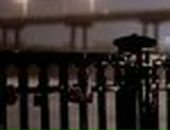 Дмитрий Сидоренко фотография #11 (источник - https://vk.com/id102488413)