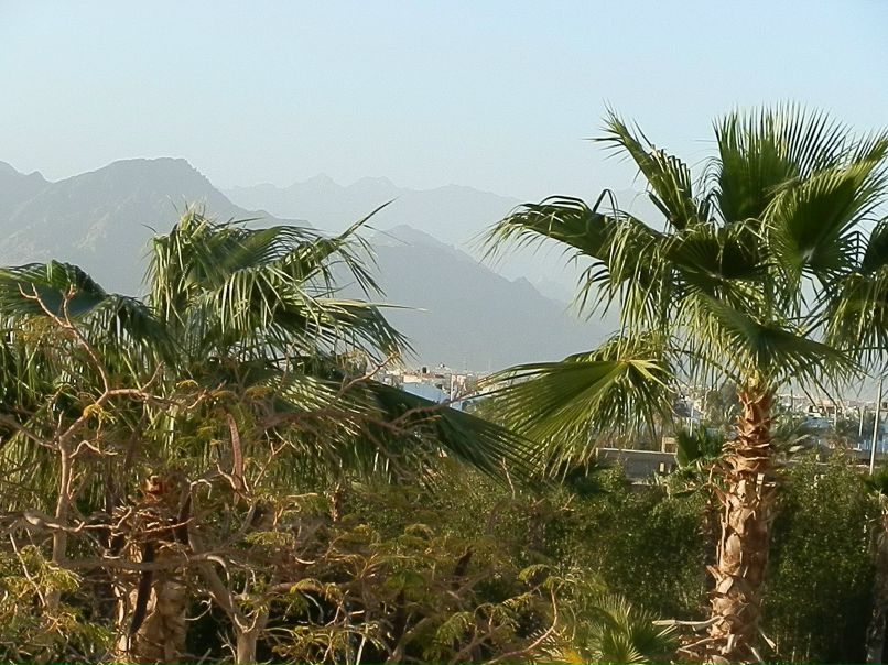 Андрей Мацк фотография #14