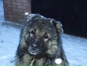 Фотография Сунеевой Анны