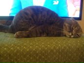 Фотография Ахуновой Альфии