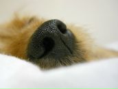 Фотография Соломахиной Лилианы