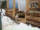 Фотография Плисткиной Марины