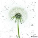 Наталія Українська фотография #5 (источник - https://vk.com/id8709838)