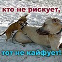 Вова Галій фотография #45 (источник - https://vk.com/id23436270)