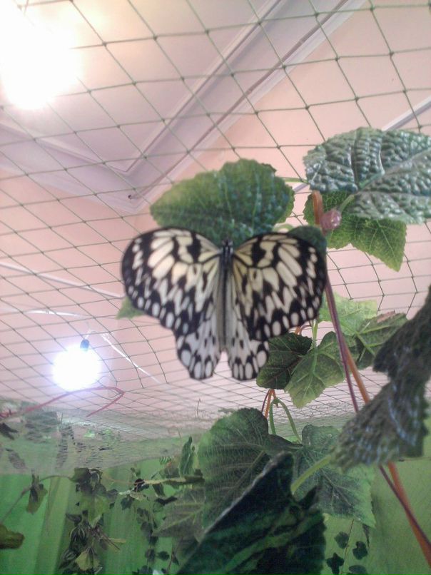 Катя Клименко фотография #37