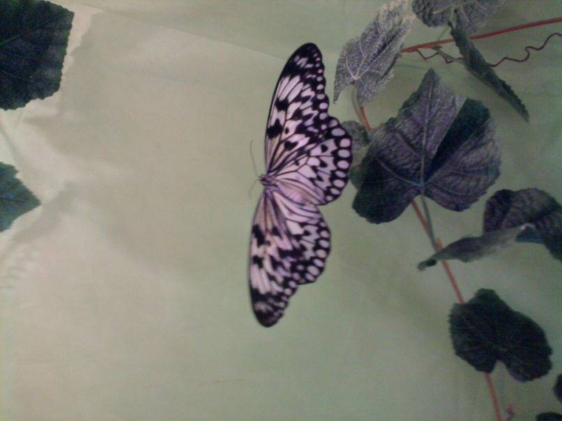 Катя Клименко фотография #13