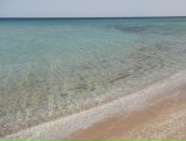 Фотография Нетрепкиной Марины