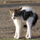 Фотография Цветковой Людмилы