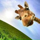 Фотография Тарасовой Александры