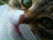 Фотография Викторовны Натальи