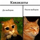 Микола Коломієць фотография #36 (источник - https://vk.com/id153664590)