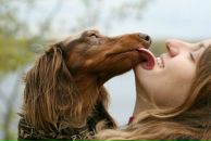 Фотография Уланович Анны