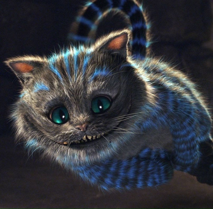 Вера Макеева фотография #32