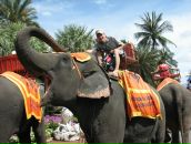 Фотография Петрова Алексея