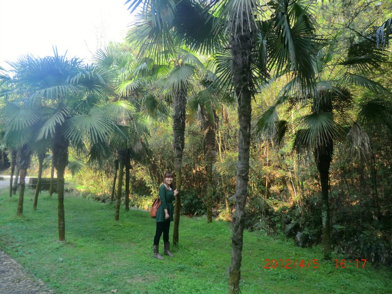 Лися Дэн фотография #23