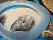 Фотография Стержантова Жени