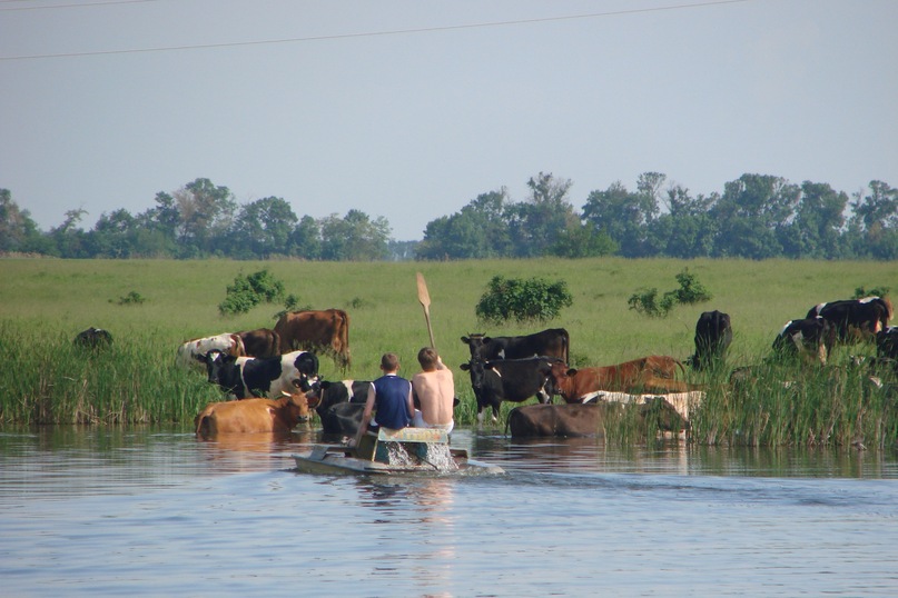 Михаил Немков фотография #5