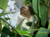 Фотография Матяж Светланы