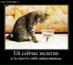 Андрій Кандибка фотография #36 (источник - https://vk.com/id29938954)