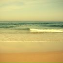 Фотография Мамедова Расима