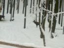 Іра Олексик фотография #32 (источник - https://vk.com/id139116314)