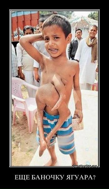 Дмитрий Малашко фото №8